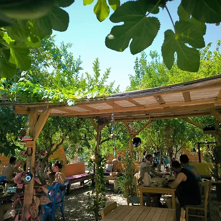 Litost Cafe *