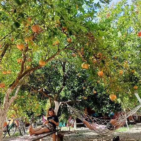 מלון קפסולה Litost Cafe אדראסן
