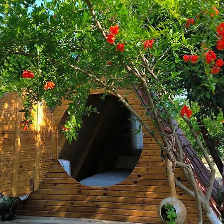 Litost Cafe * אדראסן