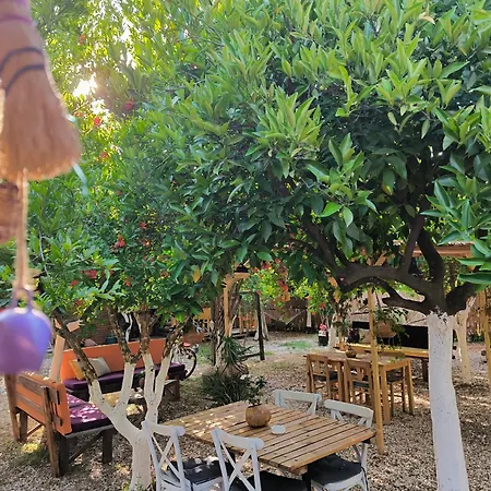 Litost Cafe מלון קפסולה *