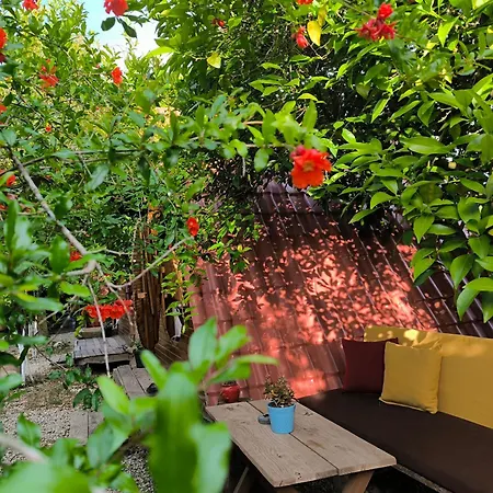 Litost Cafe מלון קפסולה