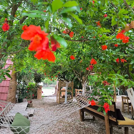 Litost Cafe מלון קפסולה *