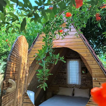 Litost Cafe * Adrasan