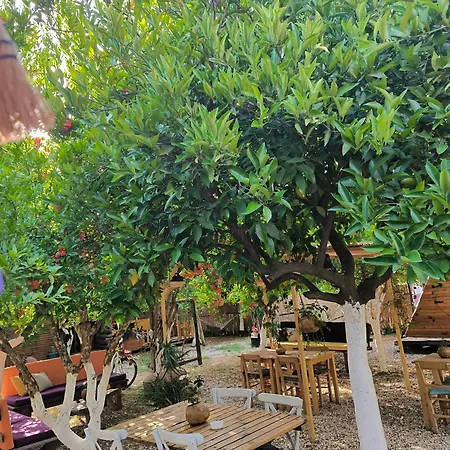 מלון קפסולה Litost Cafe *
