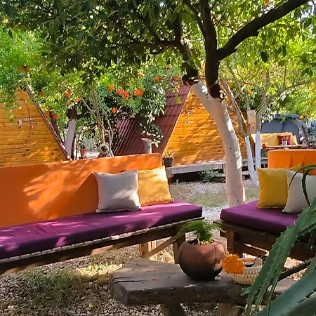 Litost Cafe מלון קפסולה אדראסן