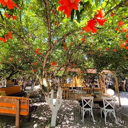 Litost Cafe מלון קפסולה
