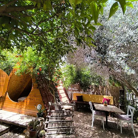 מלון קפסולה Litost Cafe