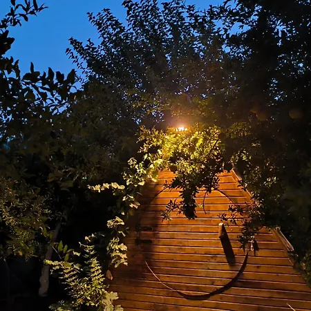 Hotel de capsule Litost Cafe Adrasan