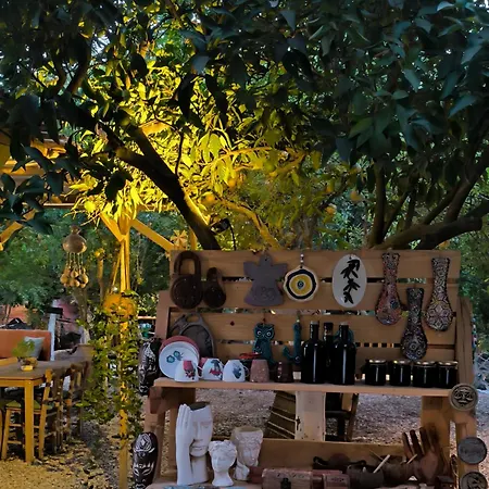 מלון קפסולה Litost Cafe