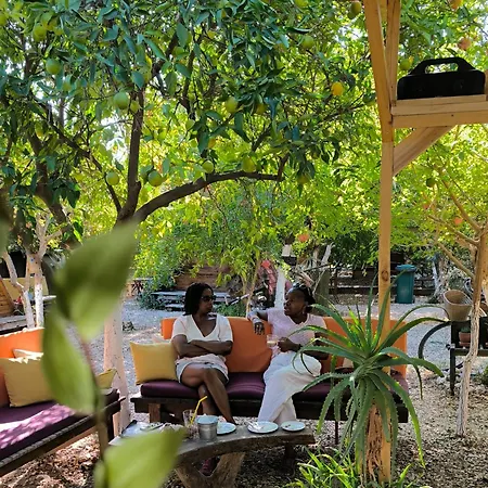 Hotel a capsule Litost Cafe *