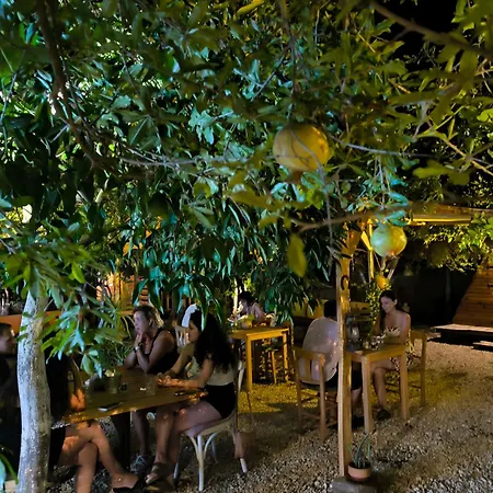Litost Cafe * אדראסן