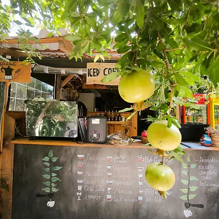 Litost Cafe Hotel de capsule Adrasan