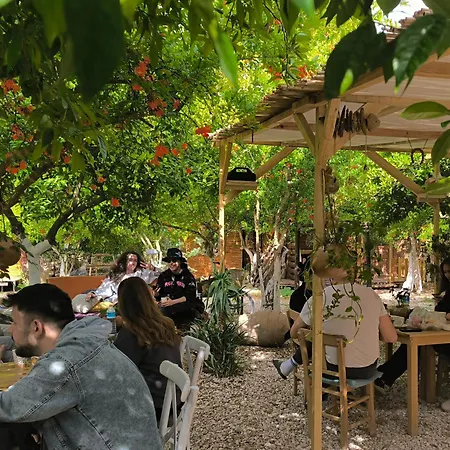 胶囊旅馆 Litost Cafe 阿德拉桑