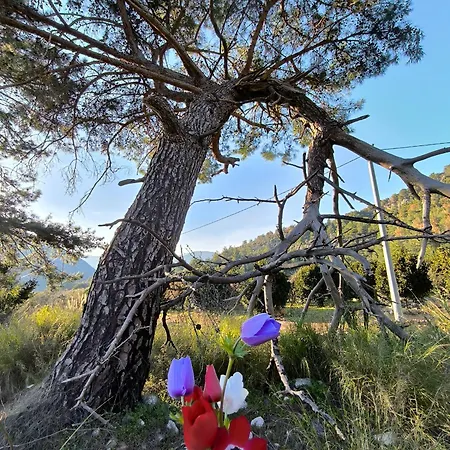 Капсульный отель Litost Cafe Адрасан