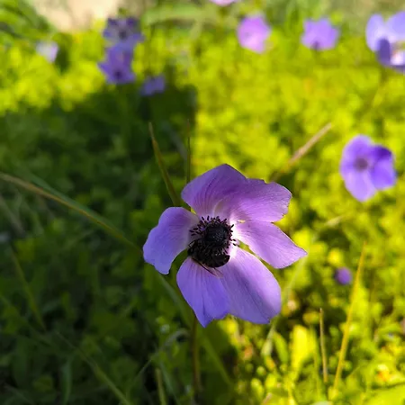 Litost Cafe Капсульный отель