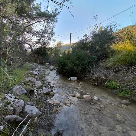 Hotel de capsule Litost Cafe