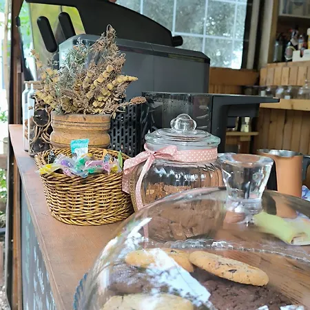 Litost Cafe