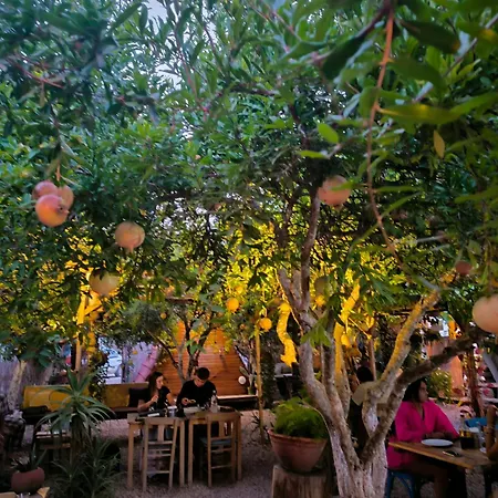 Litost Cafe