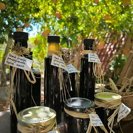 Litost Cafe Капсульный отель Адрасан