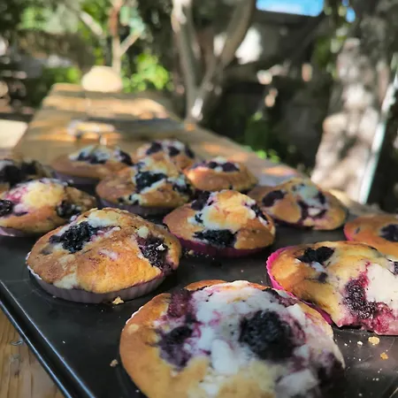 Капсульный отель Litost Cafe *