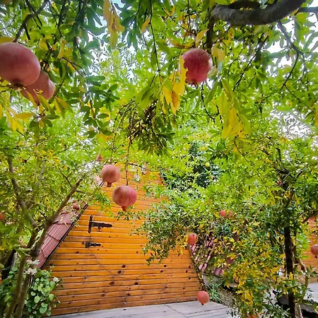Litost Cafe Ξενοδοχείο με κάψουλες