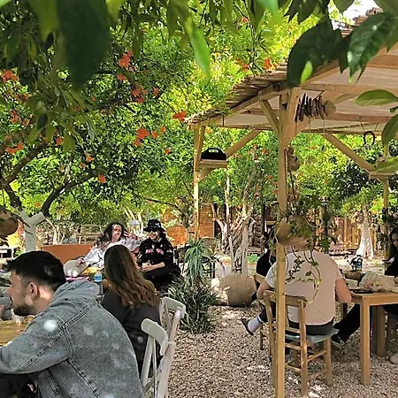 Hotel Cápsula Litost Cafe