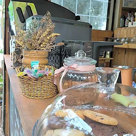 Kapselhotel Litost Cafe