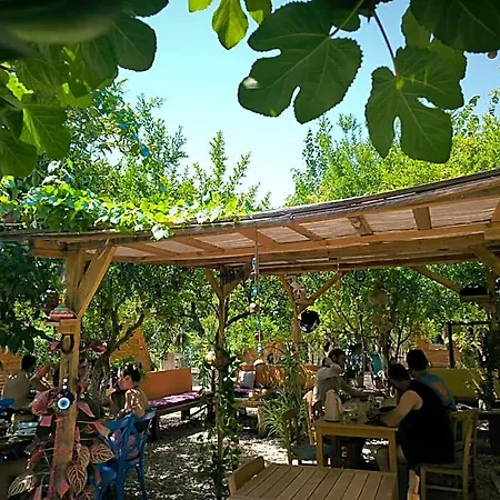 Litost Cafe Hotel Cápsula *