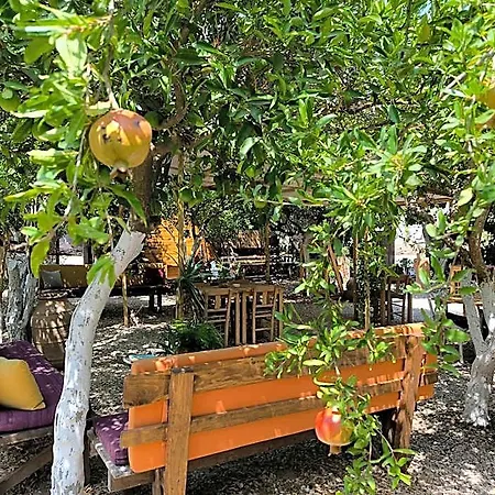Litost Cafe