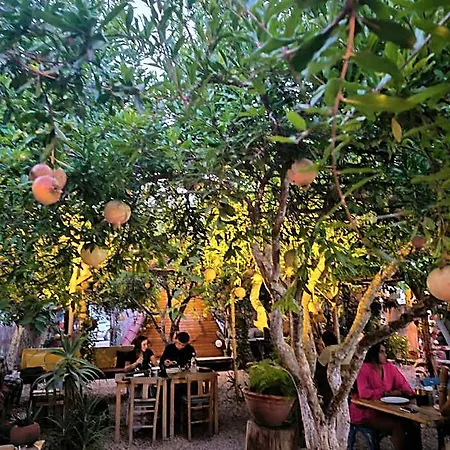 Litost Cafe Adrasan