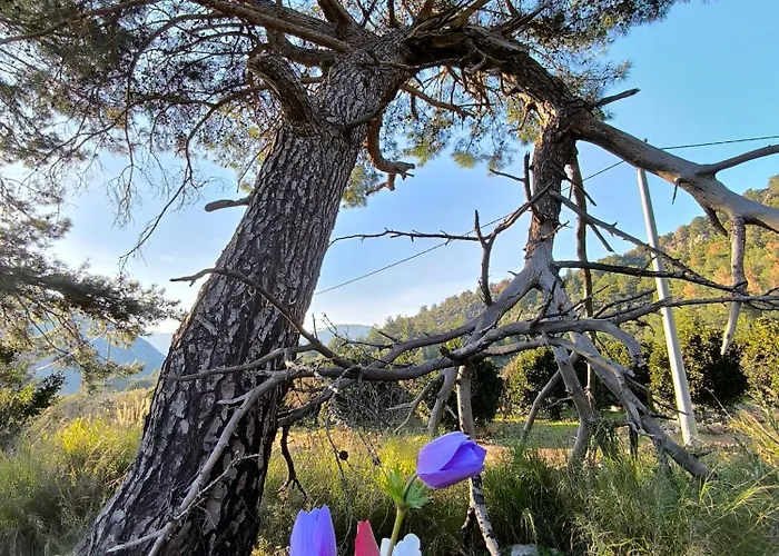 カプセルホテル Litost Cafe アドラサン