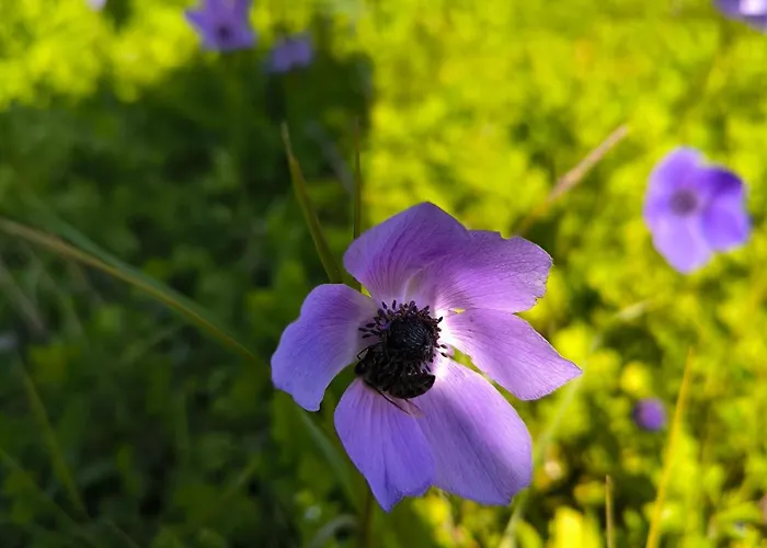 Litost Cafe カプセルホテル