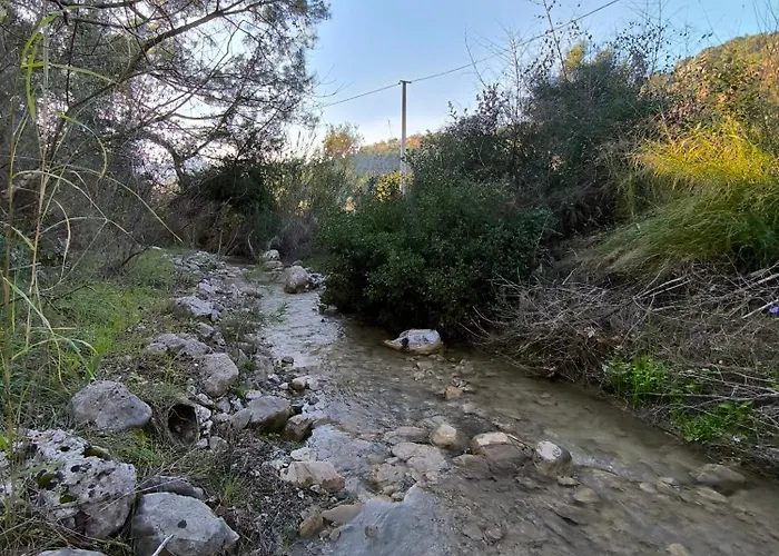 カプセルホテル Litost Cafe