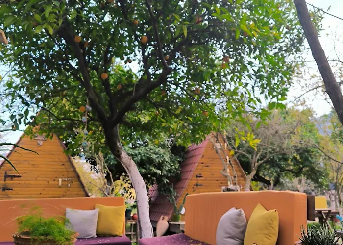 Litost Cafe カプセルホテル *