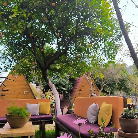 Litost Cafe Kapselhotel *